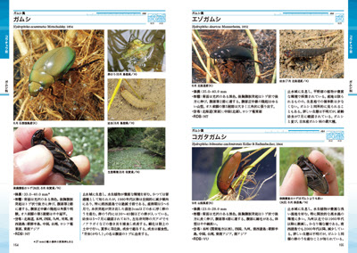 水生昆虫 甲虫 水生半翅類 関連書籍 New ネイチャーガイド 日本の水生昆虫中島 淳 林 成多 石田和男 北野 忠 吉富博之 著 A5 352pp 価格 5 000円 税込5 500円 ほぼ一生を水面や