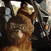 What Is The App Where You Can Return Your Person Into A Full Cgi Animal