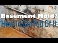 Basement Wall Mold - Photographic Guide To Mold On Computers Moldy Concrete Mold On Condensed Milk Mold On Copper Piping Mold On Countertops Mold On Crawl Space Surfaces Mold On Dirt Mold On Doors Of All - Leaking basement walls don't just stop because you've noticed them, and many people's mold and mildew are both very common problems that occur whenever there's high moisture in the area.