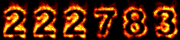 net visitor statistics