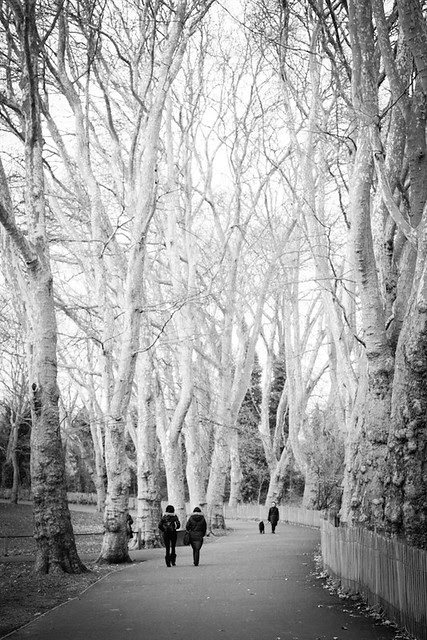 Hampstead Heath