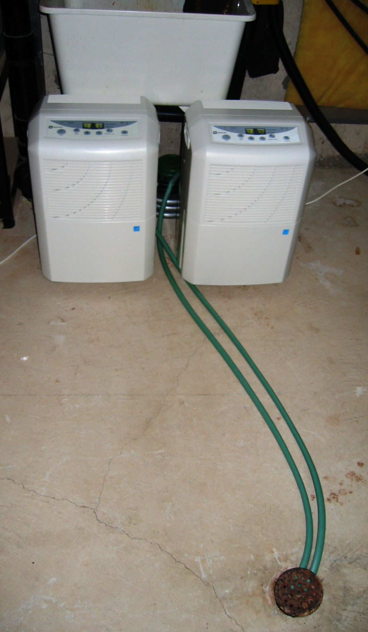 IMG 0290jpg