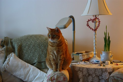 Thomas wondering...