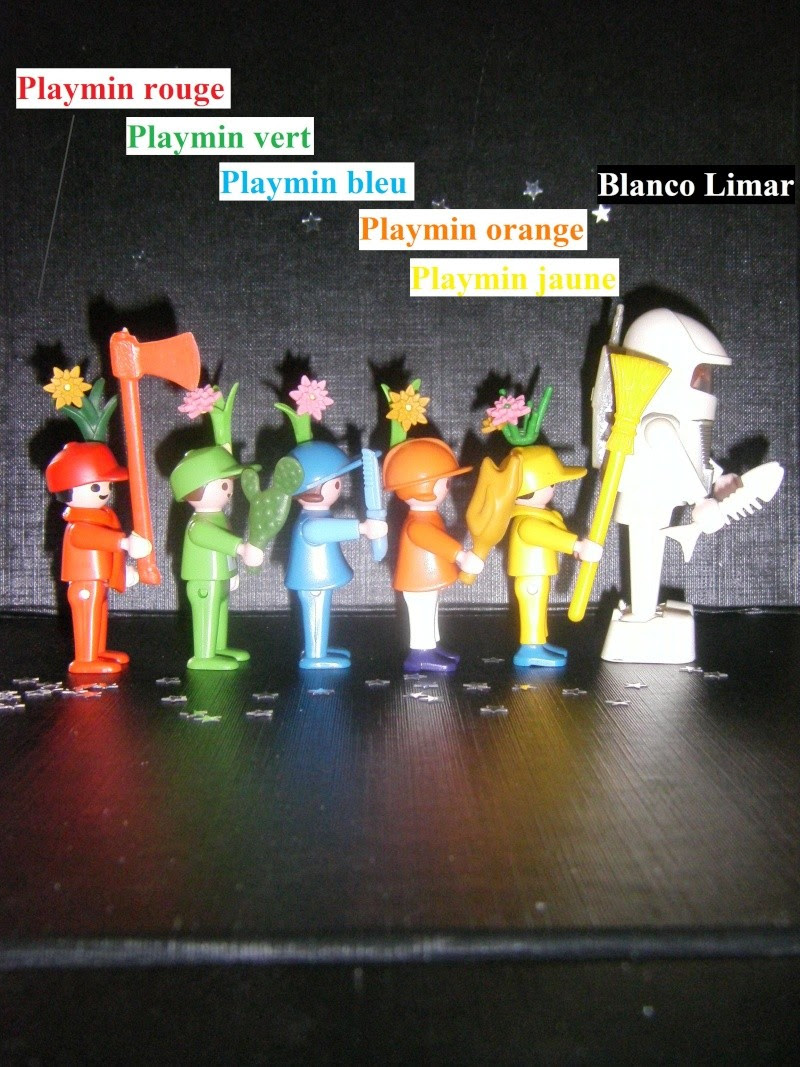 Véranda rideau vaux sur mer