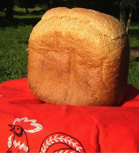 Bread Machine Wonder