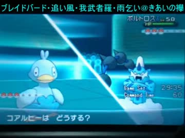 ポケモンxy 中途半端な俺が本気でタイプ統一part33 水 飛行 Nicozon