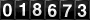 Website Hit Counters