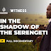 Maasai Land Rights | Witness Documentary