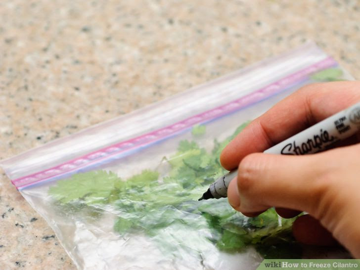 Freeze Cilantro Step 10 Version 3.jpg