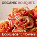 Send Eco-Elegant Flowers