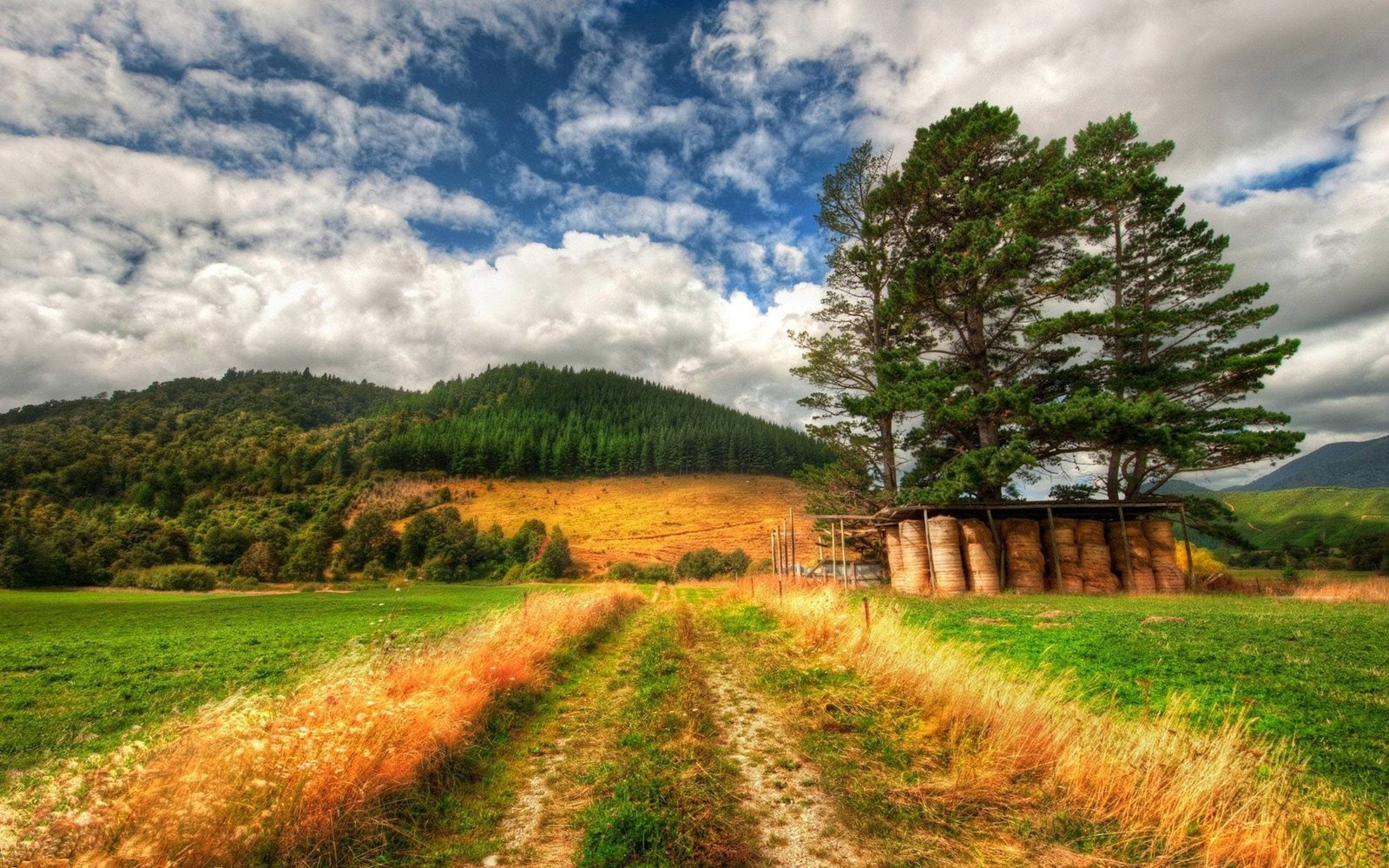 Download Wallpaper New Zealand Scenery : Wallpapers13.com