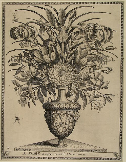 A flore accipias honeste vivere discas (de Bry)