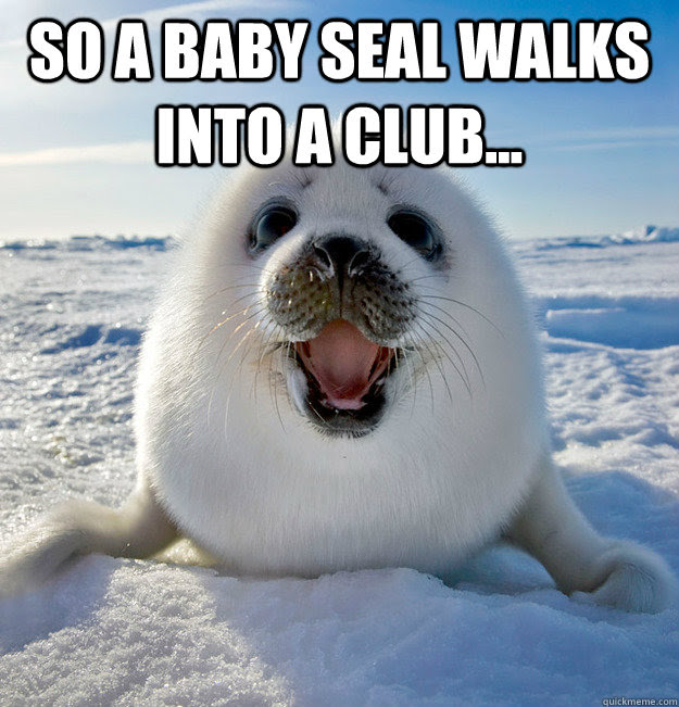 So A Baby Seal Walks Into A Club Easily Pleased Seal Quickmeme