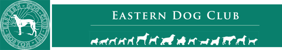 grey & tattoo black 1-3 download White Eastern Historic Photos Black Clug  & Eastern  Dog