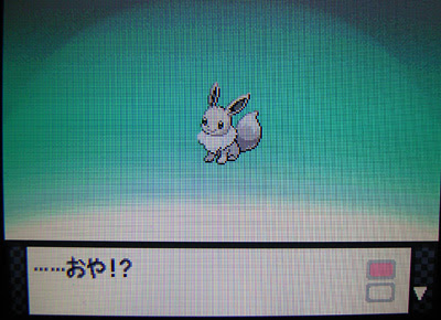 プラチナで 色違いブラッキーに進化だぜ 有栖のポケモン日記