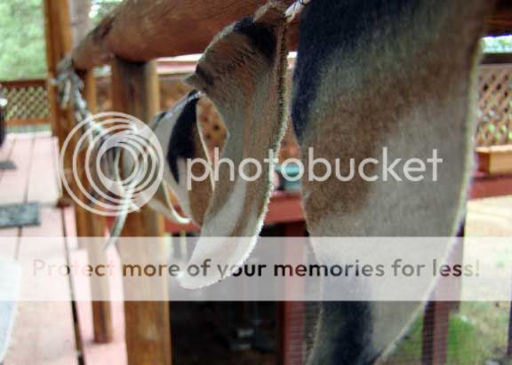 Rustic-man-birthday-party