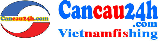 Cần Câu Cá Nhật Bãi Nhật Bản Tại Hà Nội