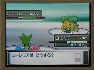 七つの海の空の上 ポケモンプラチナ日記６ ノモセジムのマキシマム仮面
