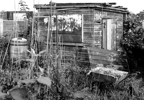 Fifty Sheds of Grey by Idreamofpies