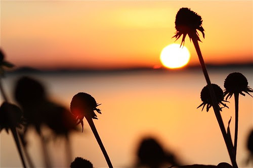 Mere Point Sunset #2 Series of 5