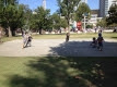 IMG_1422.jpg