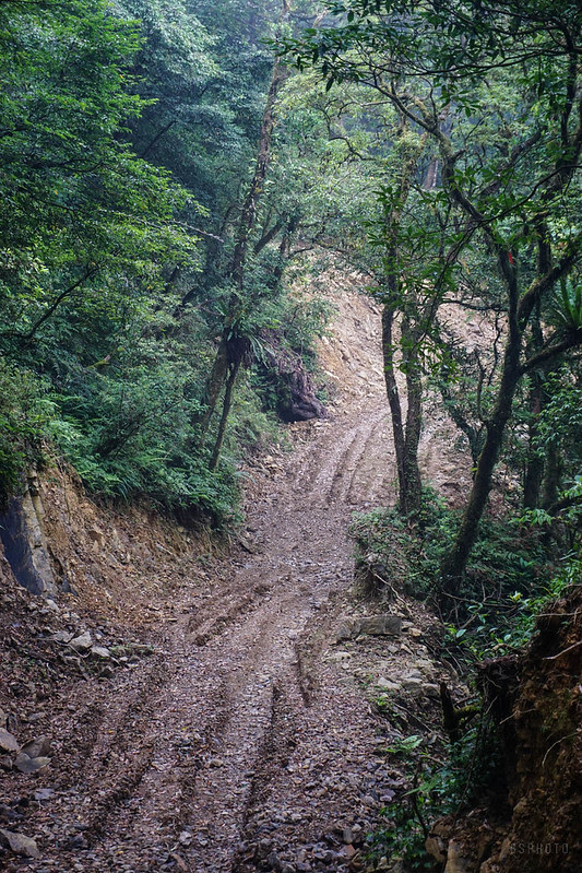 DSC05313