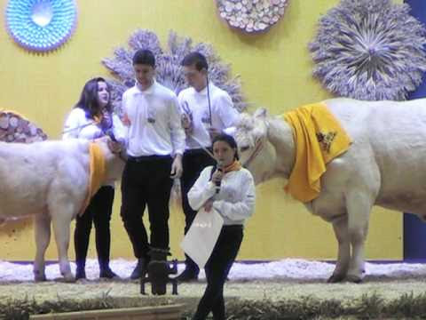 La vidéo de l'épreuve finale