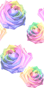 薔薇の花 レインボーローズ のイラスト 条件付フリー素材集