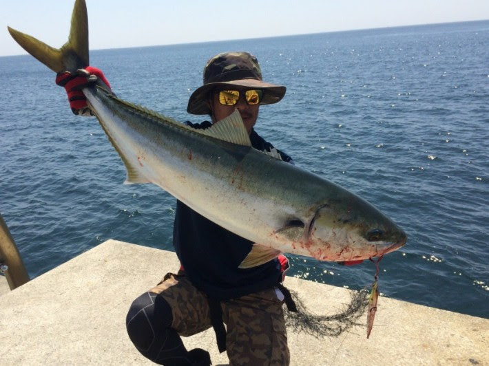 Expert Technic 撃投 Gekito Site