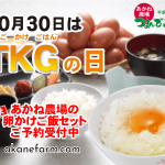 卵の白いヒモは捨てるともったいない つまんでご卵あかね農場