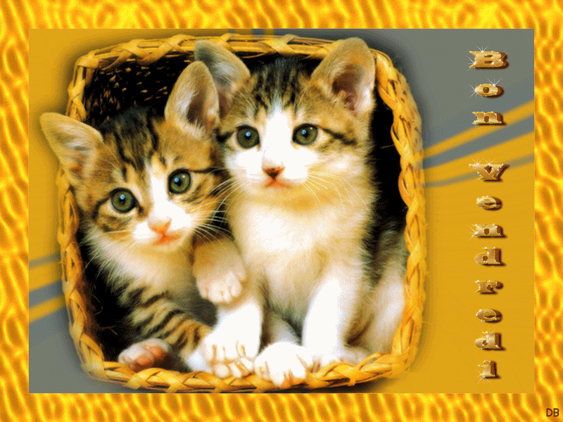 Bon Vendredi  : kdo pour vous