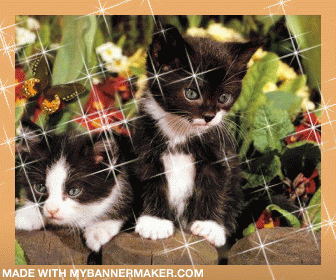 Create your own banner at mybannermaker.com!