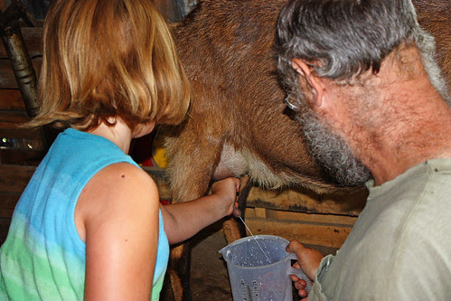 Learning to Milk