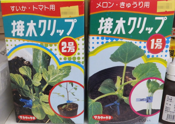 野菜の接木にチャレンジしませんか 長野県松本市の 種苗店 ナカツタヤ ガーデニング専門店 ナカツタヤ ガーデンストリート