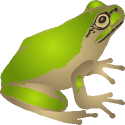 70以上 カエル イラスト リアル カエル イラスト リアル Superjpgazo