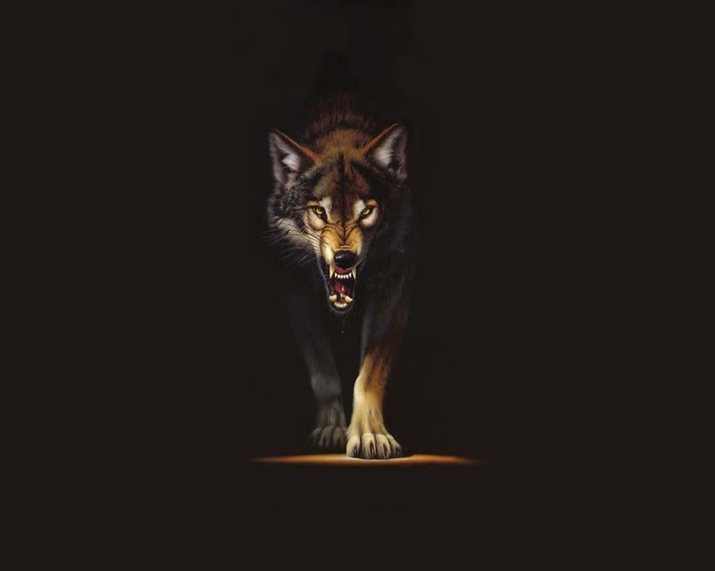 Black Wolf Wallpapers - Wallpaper Cave