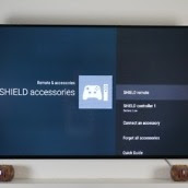 NVIDIA SHIELD - 21