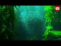 Best and beautiful mediation Music, #Songs, #English Movies #Music,