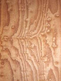 Ash wood for sale