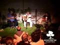the art of greek zygia - music village 2007