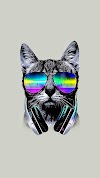 Full Hd Cool Cat Wallpapers