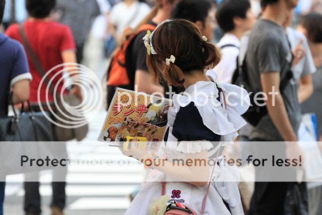 photo IMG_58991_zps972618fc.jpg