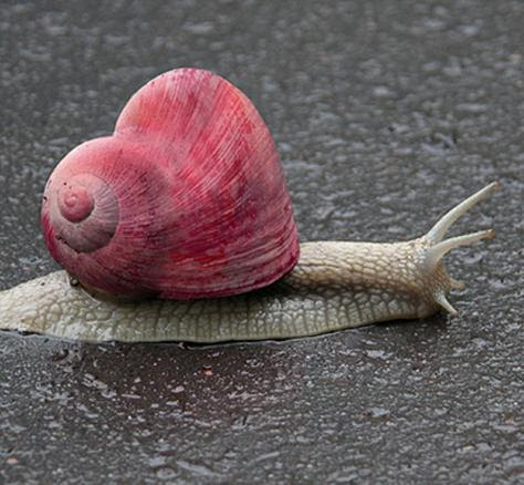 Trivia Questions With...