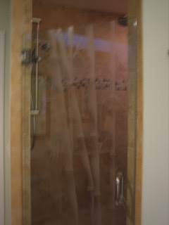 The shower Door
