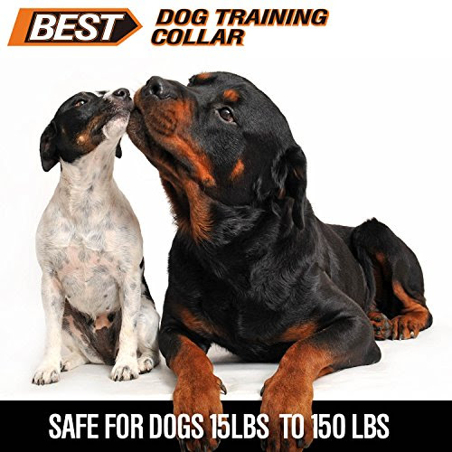 Best Rechargeable Waterproof Dog Training Collar Version 2 ...