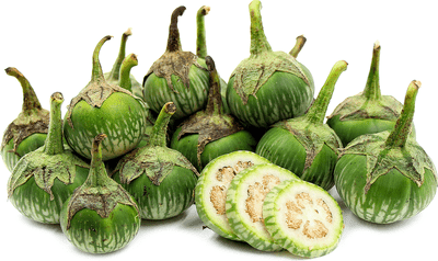 15 Manfaat Khasiat Buah Terong Berwarna Hijau Bulat 15 Manfaat Khasiat Buah Terong Berwarna Hijau Bulat