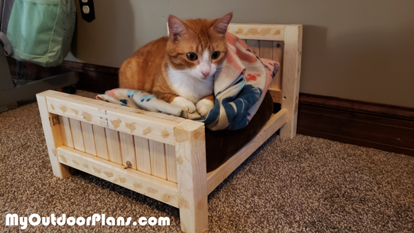 DIY Farmhouse Cat Bed MyOutdoorPlans Free Woodworking ...