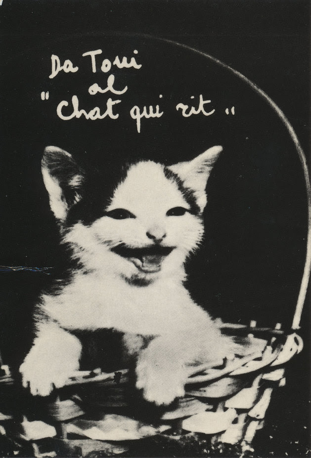 Chat Qui Rit J Random Image