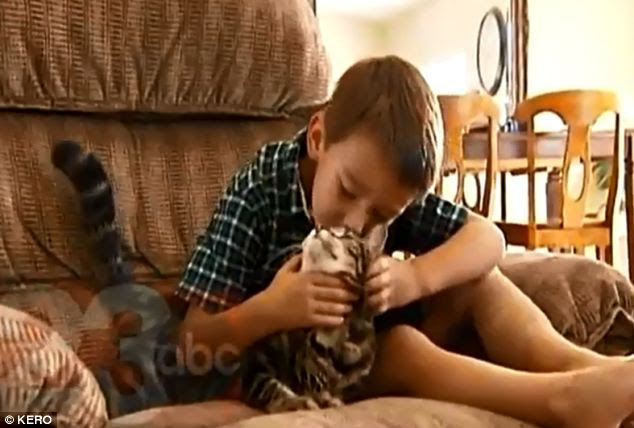 Tara kucing hitam gemuk sudah menjadi bagian keluarga Roger Triantafilo. Jeremy sangat sayang pada Tara. Ia selalu main bersama sepulang sekolah.