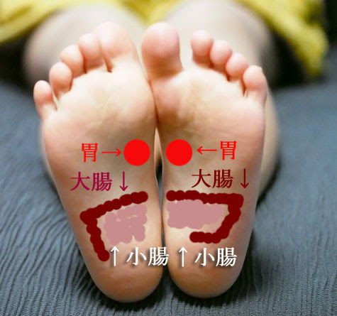 足ツボマッサージ 胃腸のツボを刺激して胃腸を元気にする動画 日本足ツボ協会
